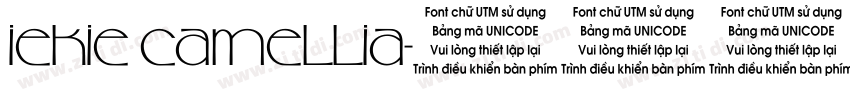 iekie camellia字体转换